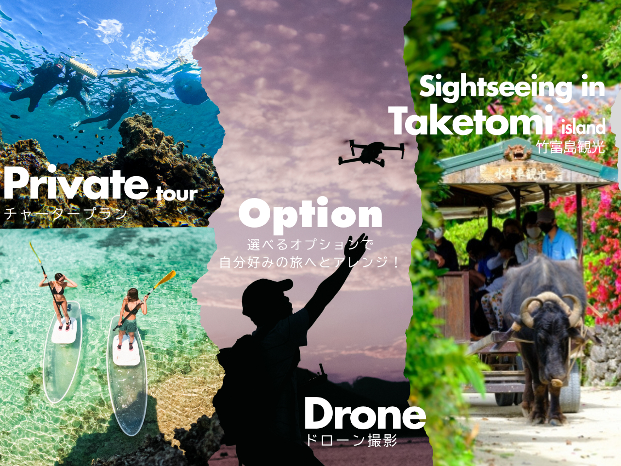 IׂIvVŃcA[AWIyI\IvVꗗz@|xόtF[`Pbg / ATbvcA[̃h[Be / B1gݐ؃cA[