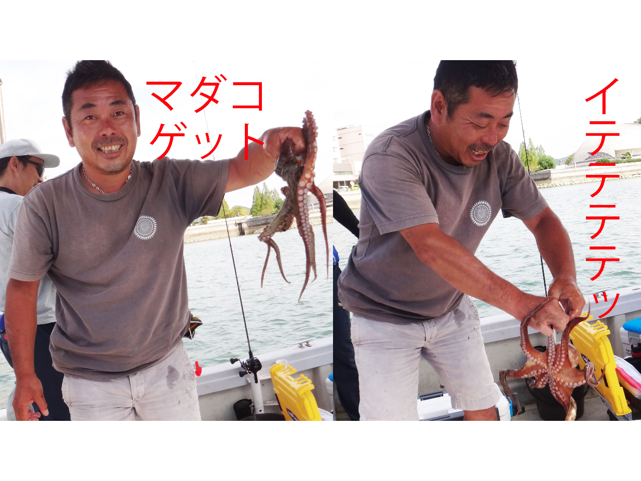 wʐ^2-Px@CC_RނŃ}_RނсA