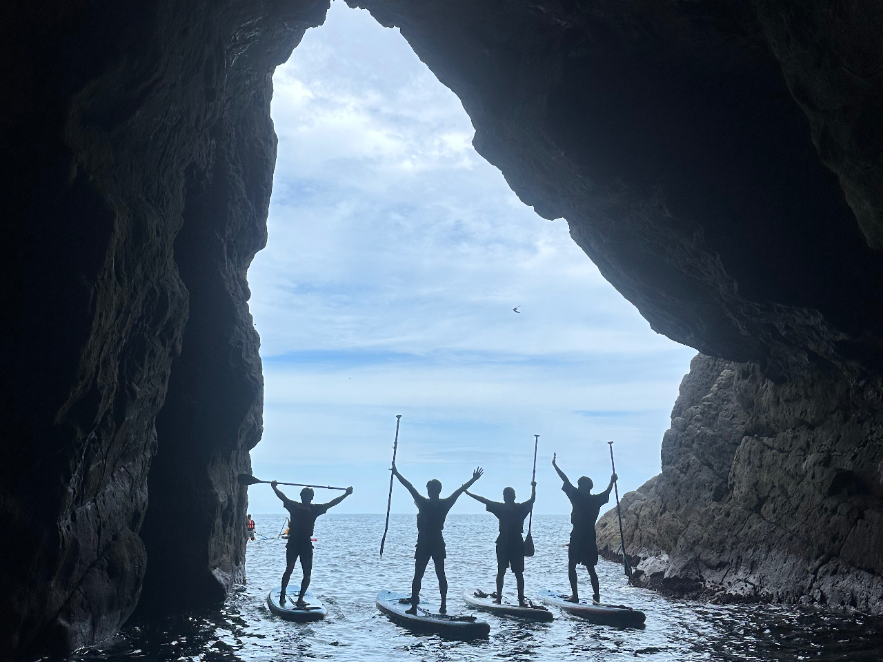 �f�B�Y�j�[�����h�̃A�g���N�V�����H