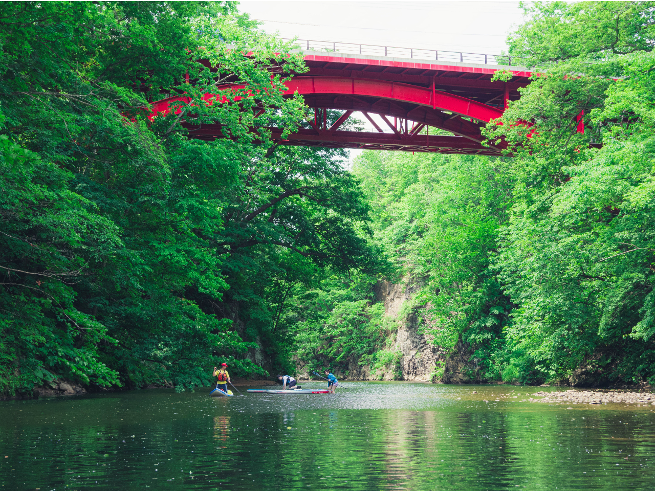 新緑にあふれる定山渓の渓谷