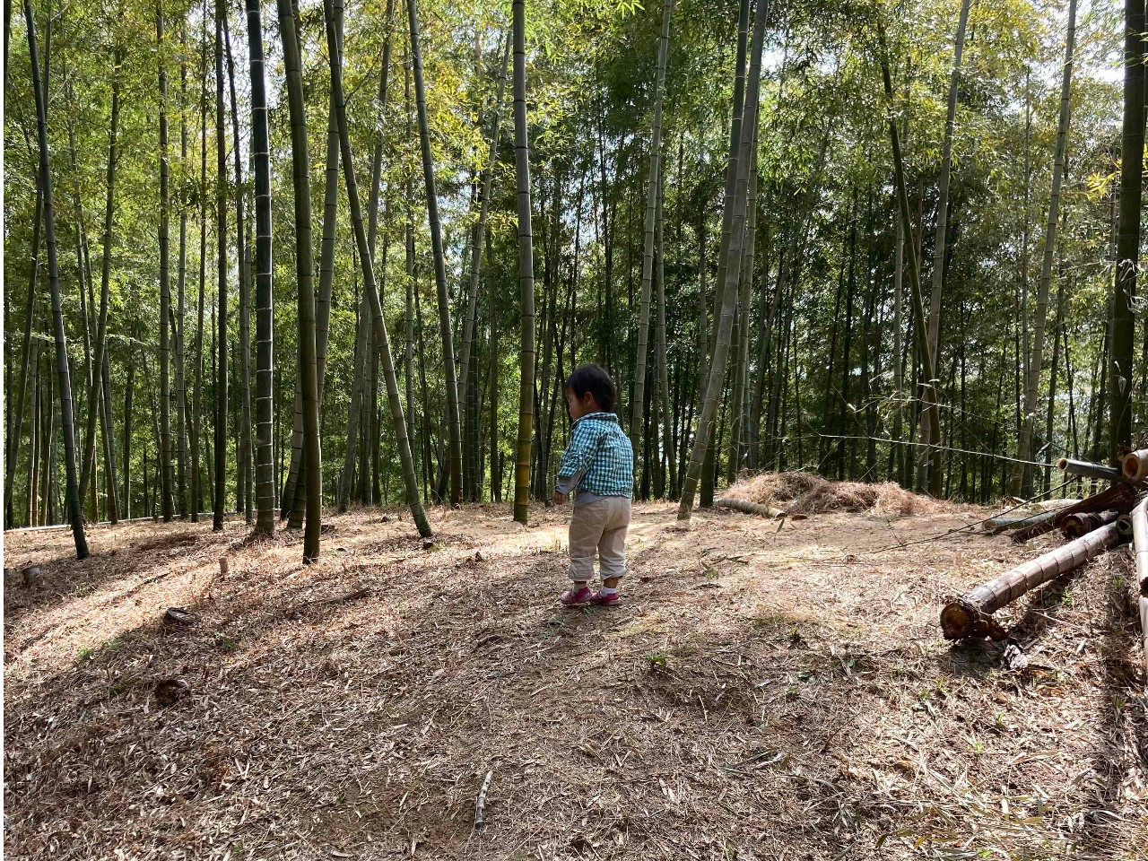 ������^�P�m�R�@��̌��_���̎ʐ^2