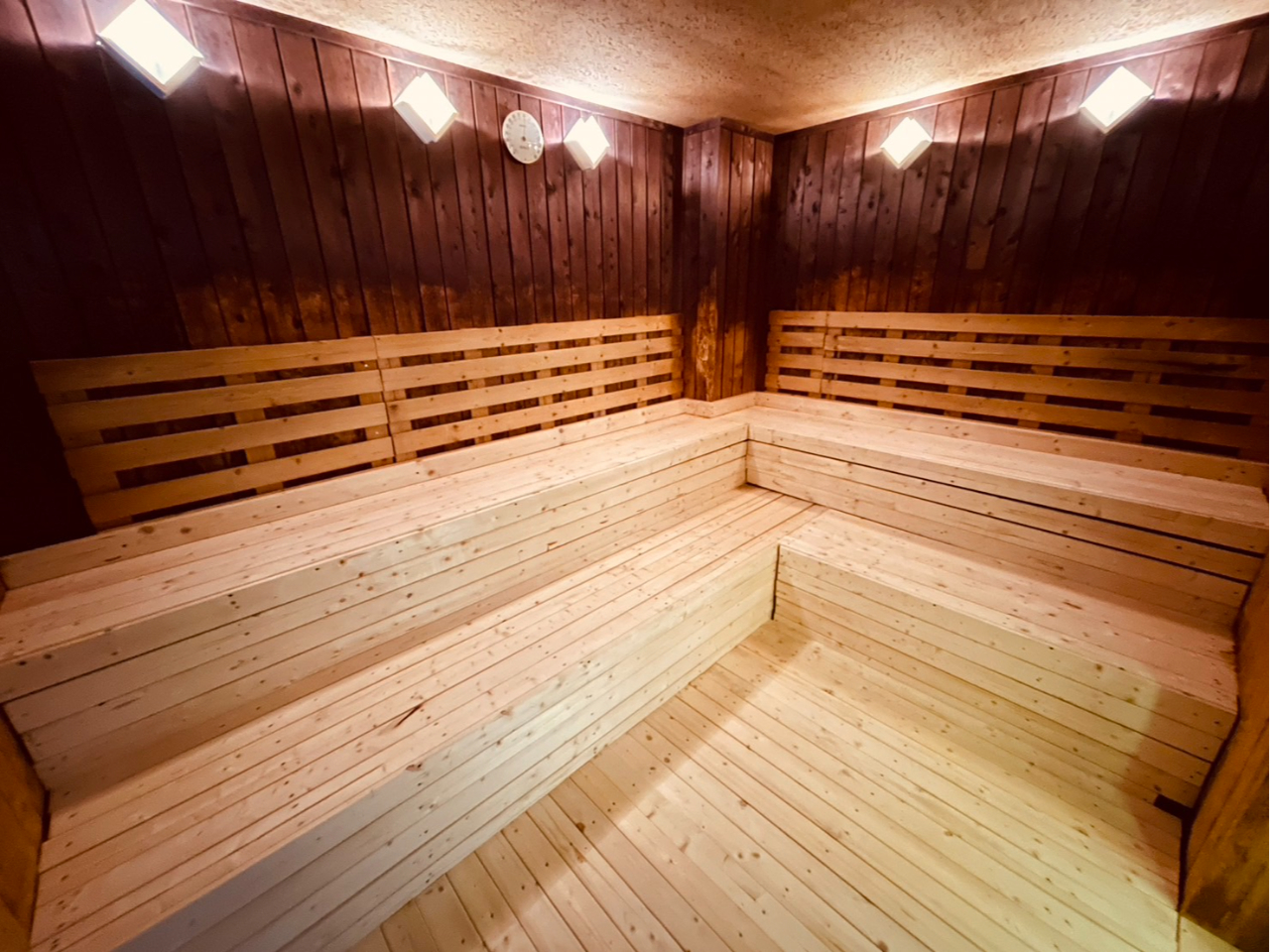 �T�E�i������