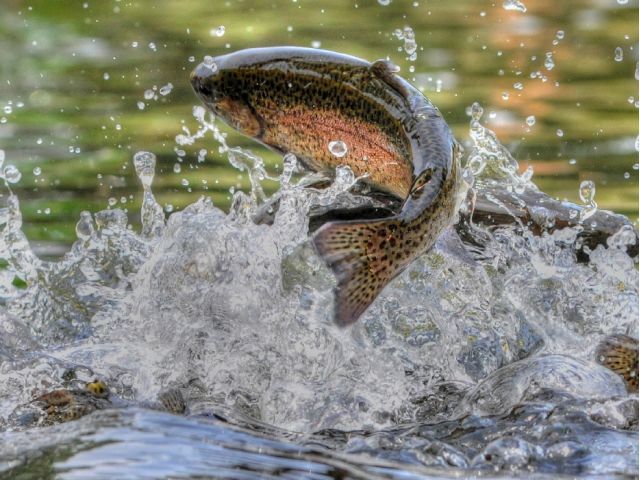 初心者大歓迎(^^)/