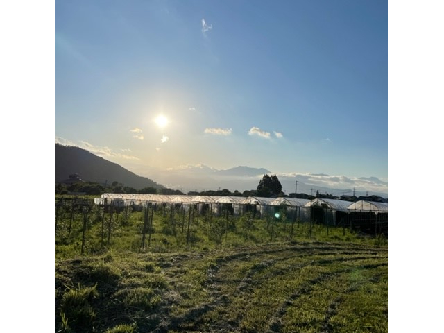 _猩iF͐iłIAXp̃nEX14܂