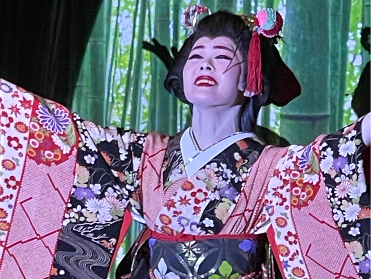 豪華ステージ衣装15点セット】着物 時代劇 大衆演劇 芝居 舞台 日本 