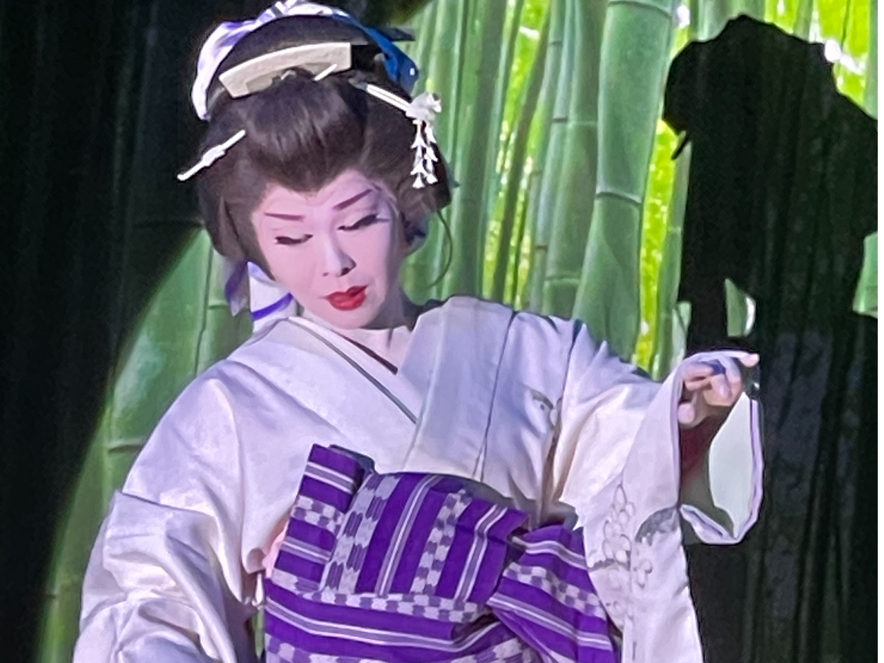 大衆演劇 衣裳 振袖 日本舞踊 時代劇 （2888 日本髪 舞踊 時代劇 大衆 
