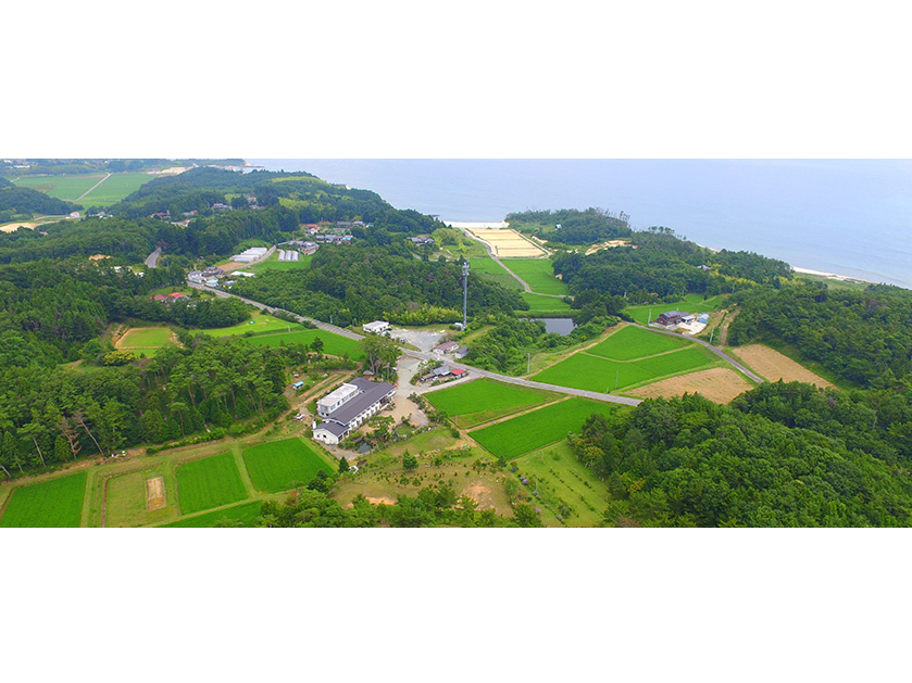 四季折々の美しさを感じる庭園を眺めながら、癒しのひとときを…