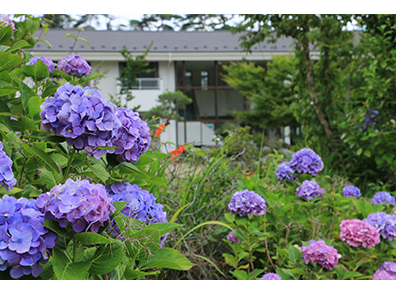 徳富蘇峰ゆかりの地 季節を彩る草花