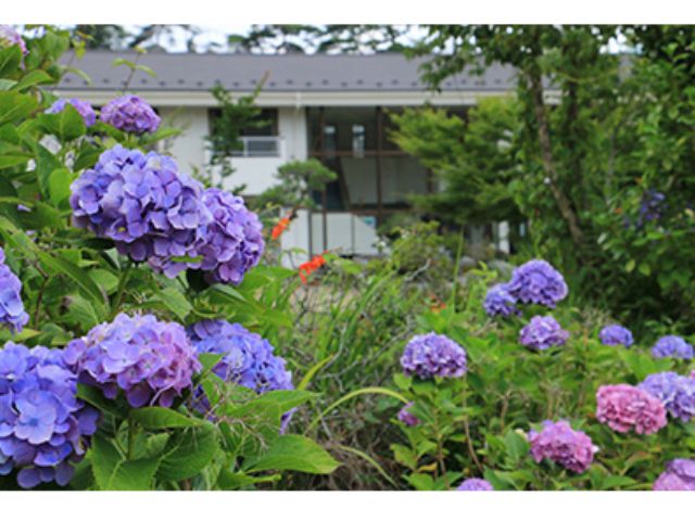 徳富蘇峰ゆかりの地 季節を彩る草花