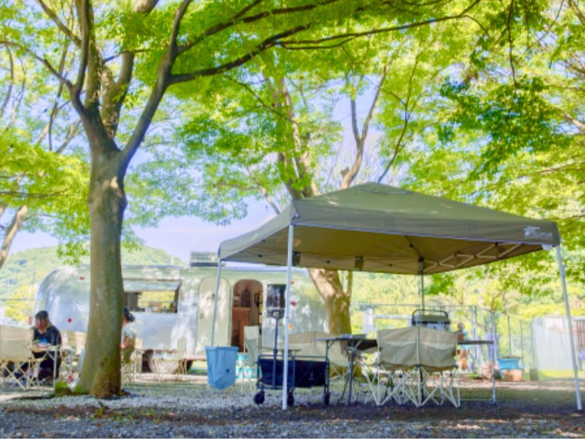 łpӂBBQ@ރZbgłBiVIPR[Xj