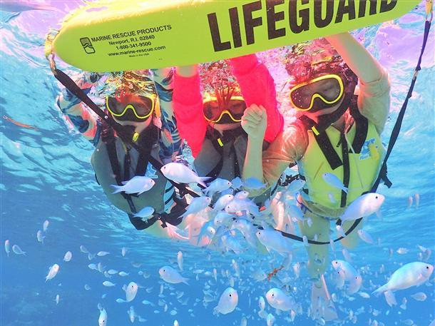 ̊C̓x͒iႢICtK[hpȂ̂ŁAjȕSĂQi^^j