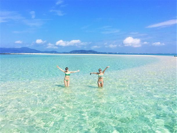 Ί_ɗx͍s̓IfGȎʐ^ςBĂ