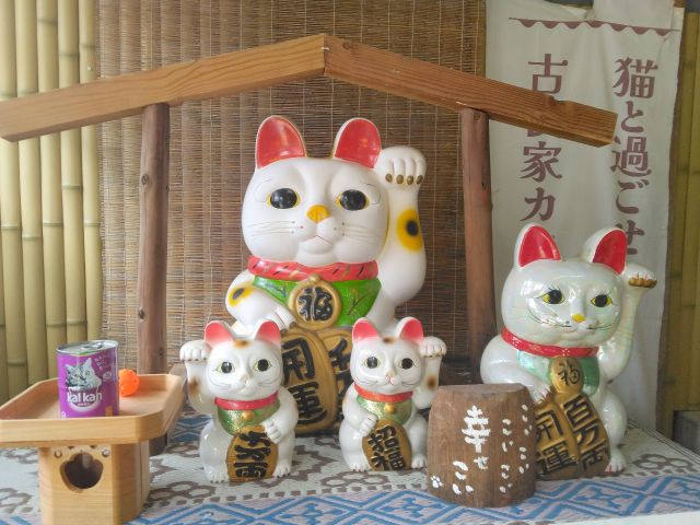敷地内にある『猫の駅』内には、猫神社、猫の資料館、チャリティコーナー、ミニ卓球台、ミニホッケー等もあります=^_^=