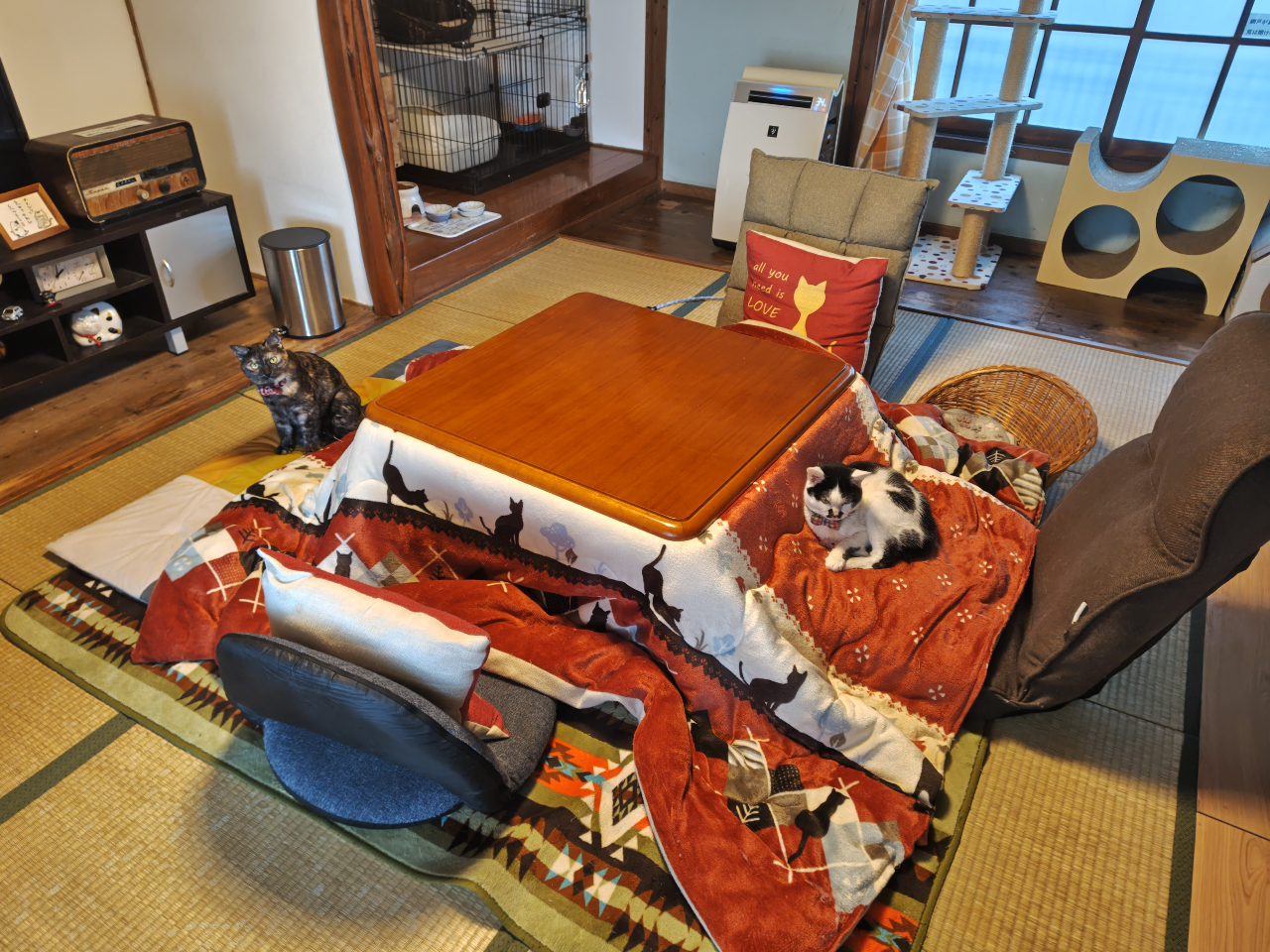 �Ö��Ƃ̗���̈ꎺ�ɂ���w�L�Ɖ߂����郌���^���[���x�����B�~�G�͂����ɂȂ�܂��B