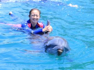 自由な海で心からの笑顔をイルカと一緒に…日本初のドルフィンスイム プログラムです。