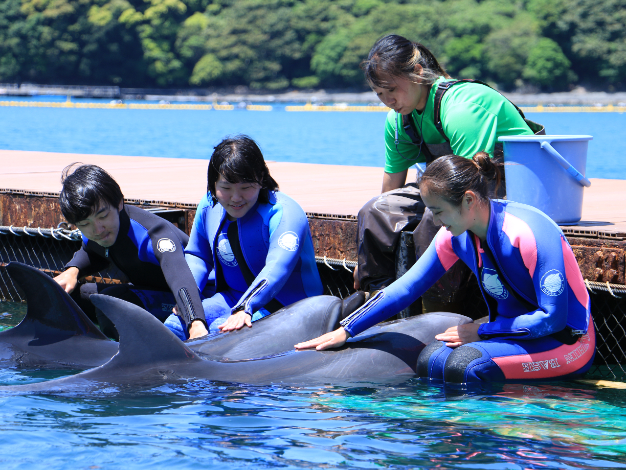 経験豊かなドルフィントレーナーからイルカの レクチャーを是非共に…