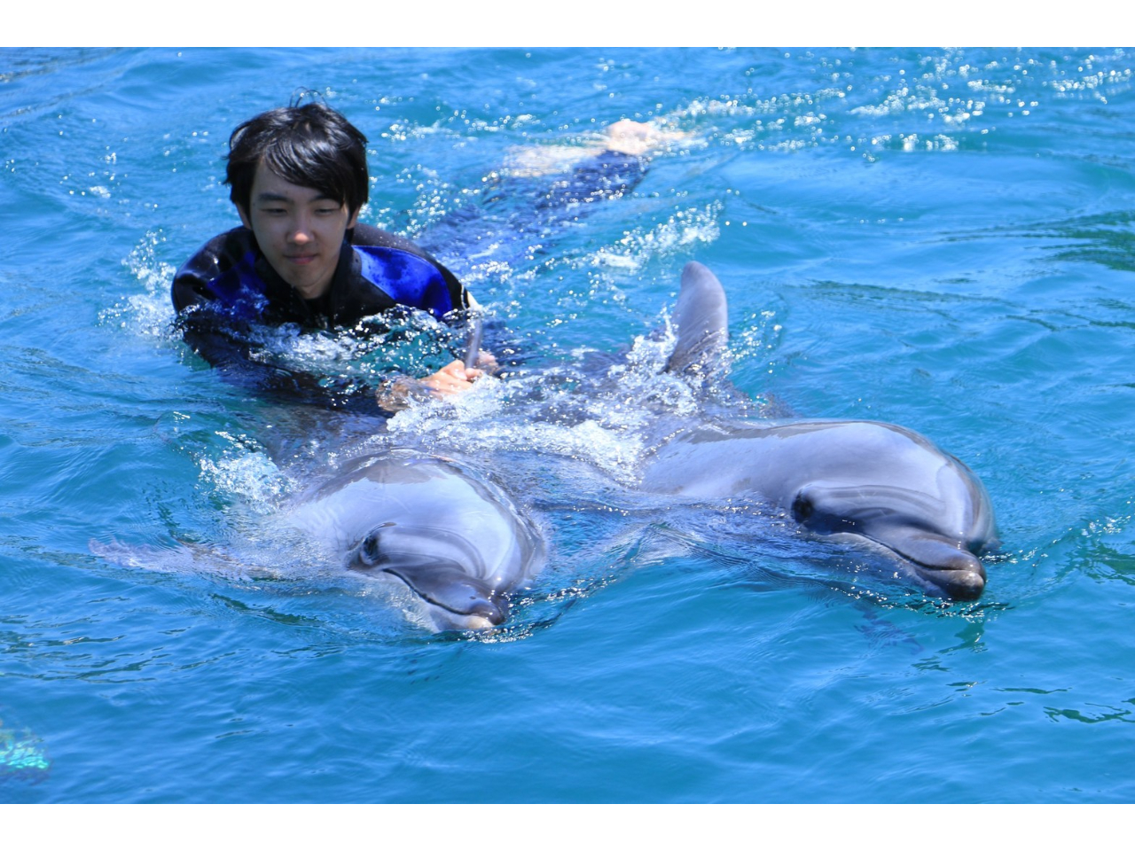 そう…時には二頭のイルカが誘ってくれるかもしれません。