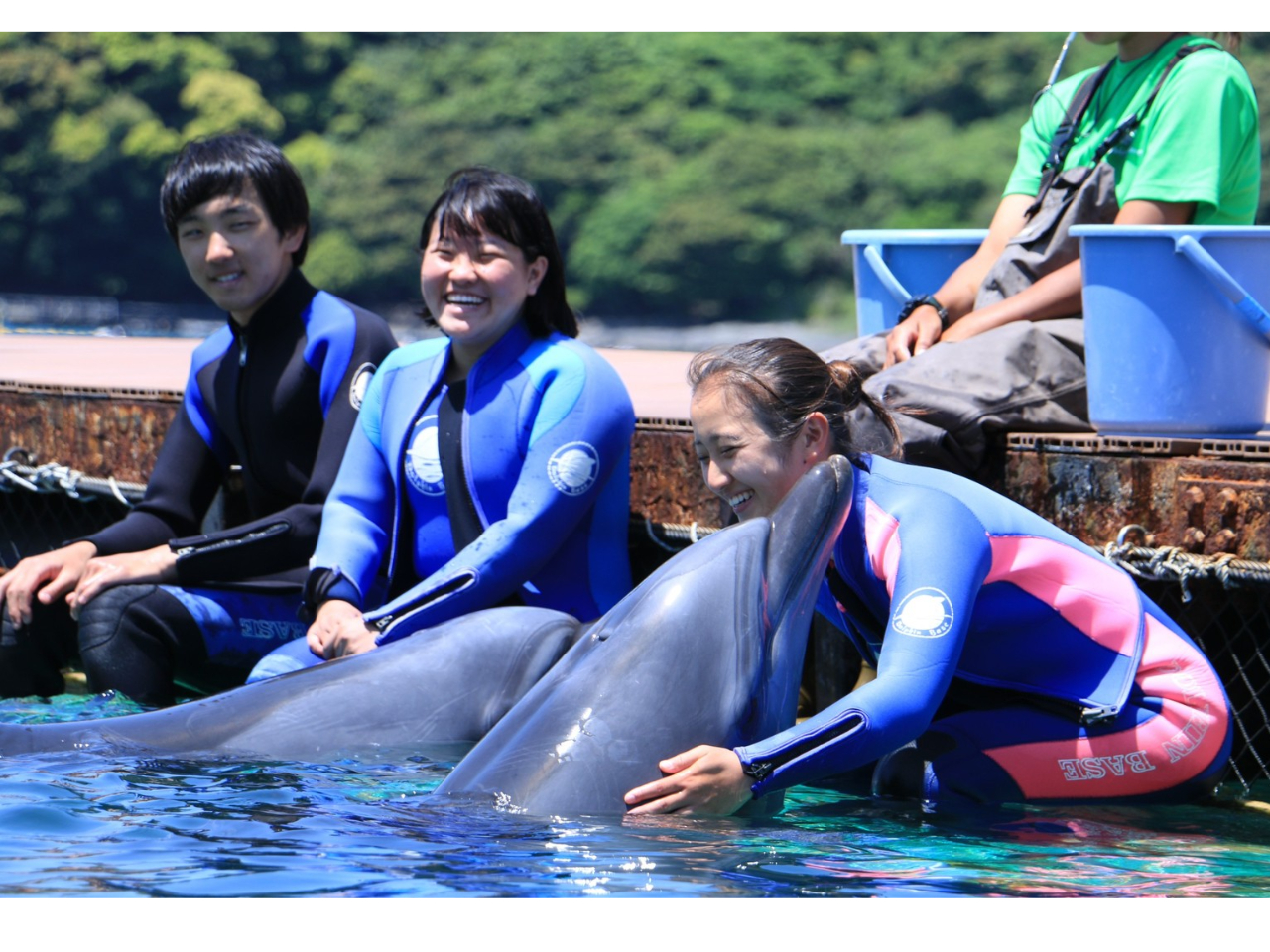 これまでの皆様の時間の中で…最も近い場所に…イルカ達が訪れます