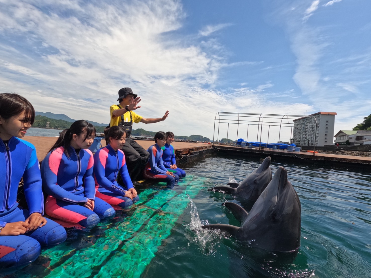 イルカ達とハンドサインで…コミュニケーション…楽しき時間の始まりです。