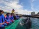 イルカ達とハンドサインで…コミュニケーション…楽しき時間の始まりです。