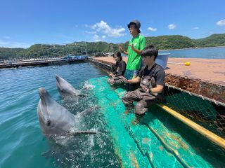 イルカを身近に感じる事の出来る…ショートプログラム…それがドルフィンエンカウンターです。