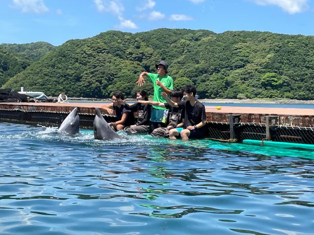 ドルフィントレーナー体験を…是非共にあなたのサインがイルカ達に届きます