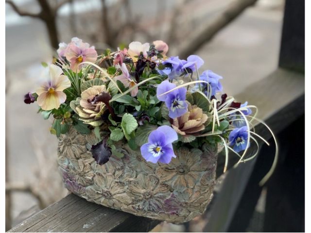 【イメージ写真/体験レッスン】2〜3の花束(ユニット)を作って寄せ植えます。