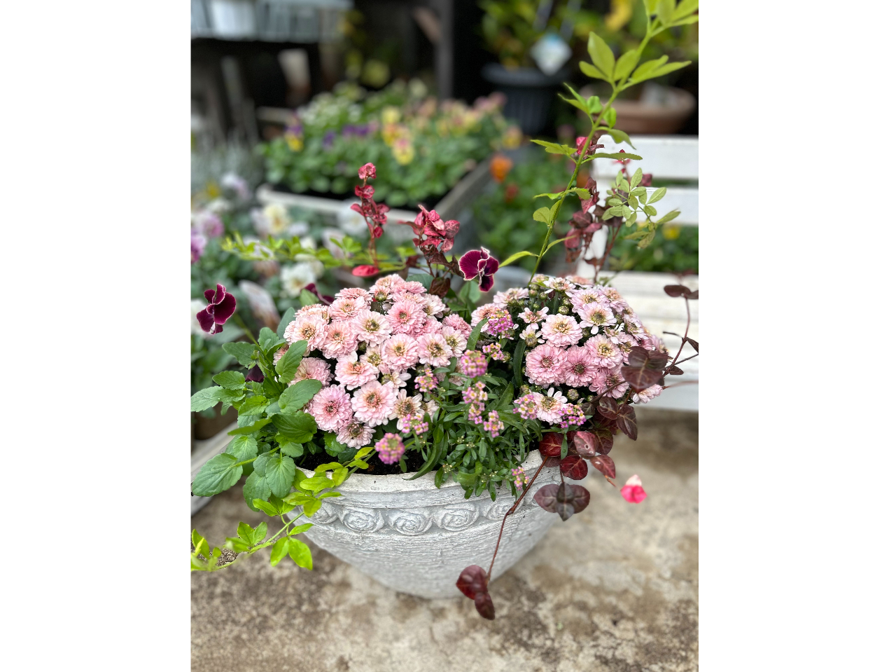 ؂Ԃł͂Ȃt̐Agݍ킹Ai`ŉ؂₩Ȉ̊𐶂ݏo܂