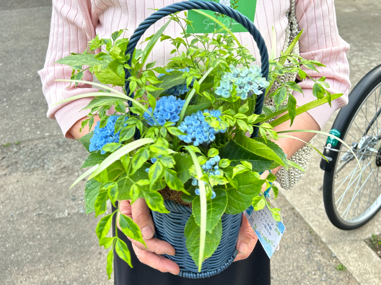 �_�S�Ƃ��߂��^�M���U�����O�̌�