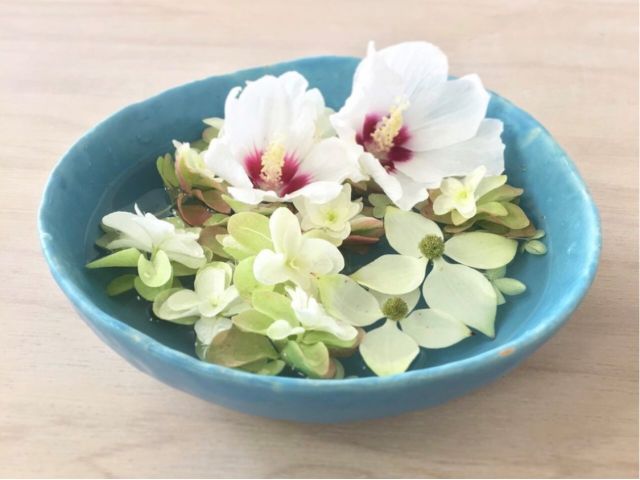 4 16開催 行田市 Tete Ceramic Studio ミニ花手水鉢作り 牧禎舎で可愛らしいミニ花手水鉢を作って ご自宅で花手水を楽しんでみませんか Tete Ceramic Studio じゃらん遊び体験 4 16開催 行田市 Tete Ceramic Studio ミニ花手水鉢作り 牧禎舎で可愛らしいミニ花手水鉢を作って ご自宅で花手水を楽しんでみませんか Tete Ceramic Studio じゃらん遊び体験