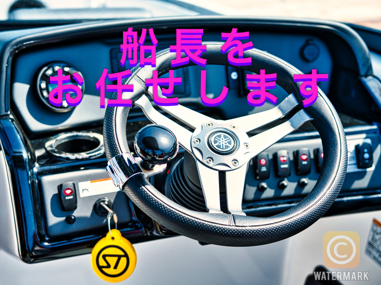 �D�������C�����܂�