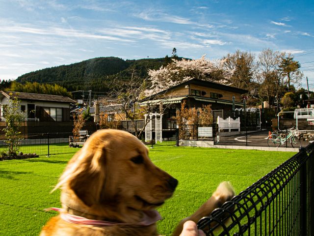 ドックランありペットOK