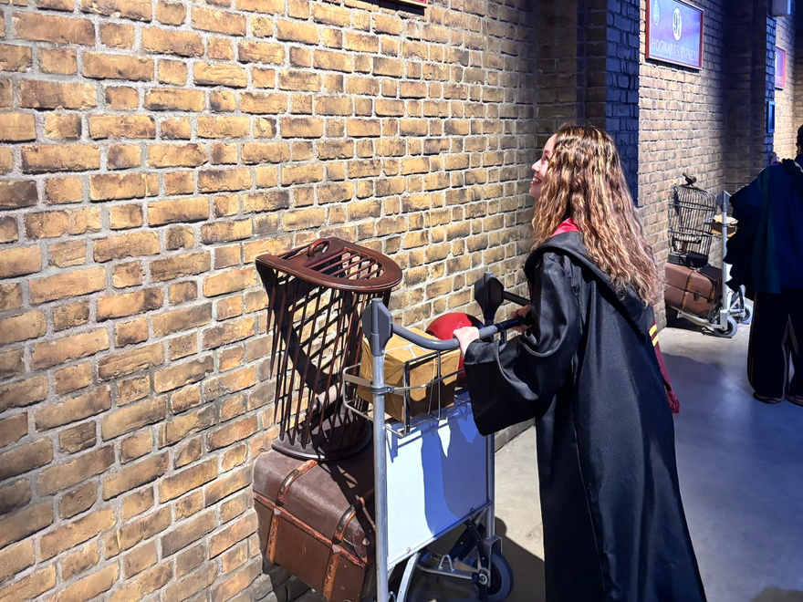 Ƃ܂Ւnɂłn[|b^[̃X^WIcA[֍sqlI