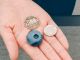 シーズン前半の品種はサイズが大きい品種が多く、500玉サイズの大きさのブルーベリーが収穫できます!