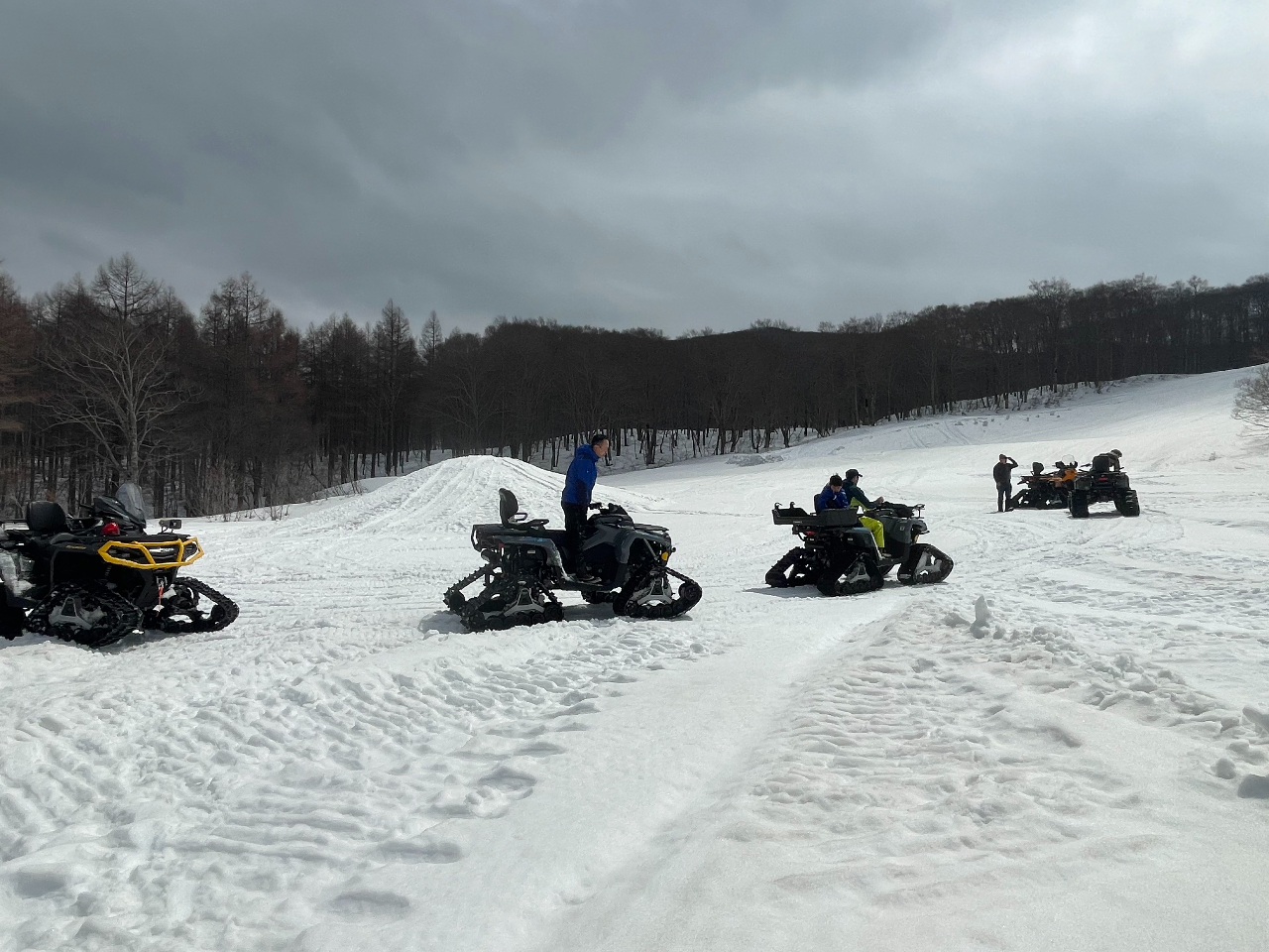 ���o�M�[�̌�