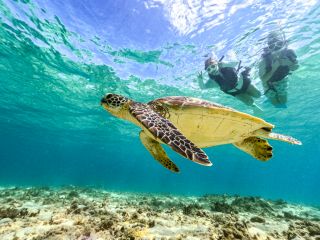 大切な方と最高の思い出作りを♪