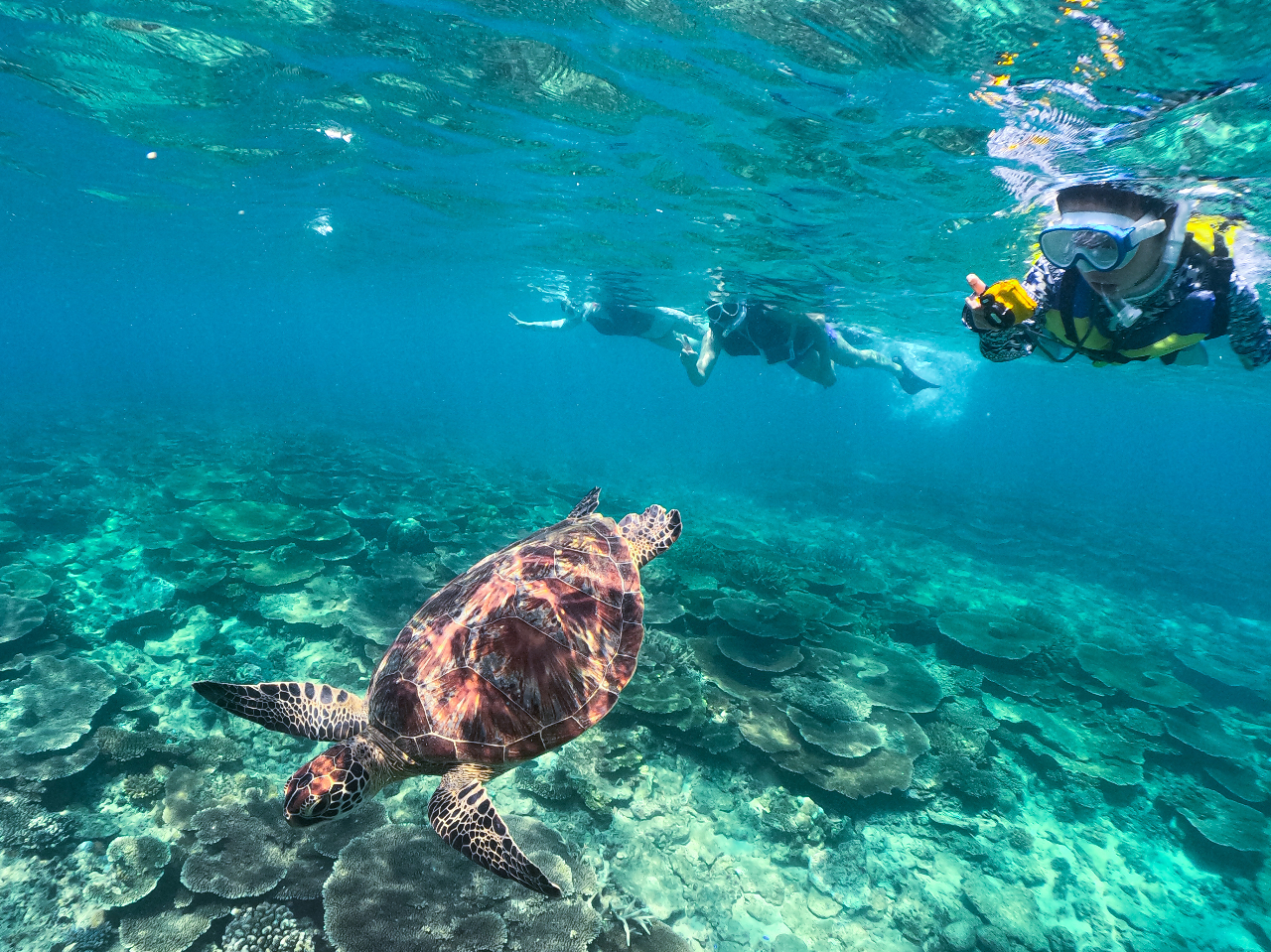ビーチエントリーですので小さいお子様も安心!! お魚やウミガメに会いに行きましょう!
