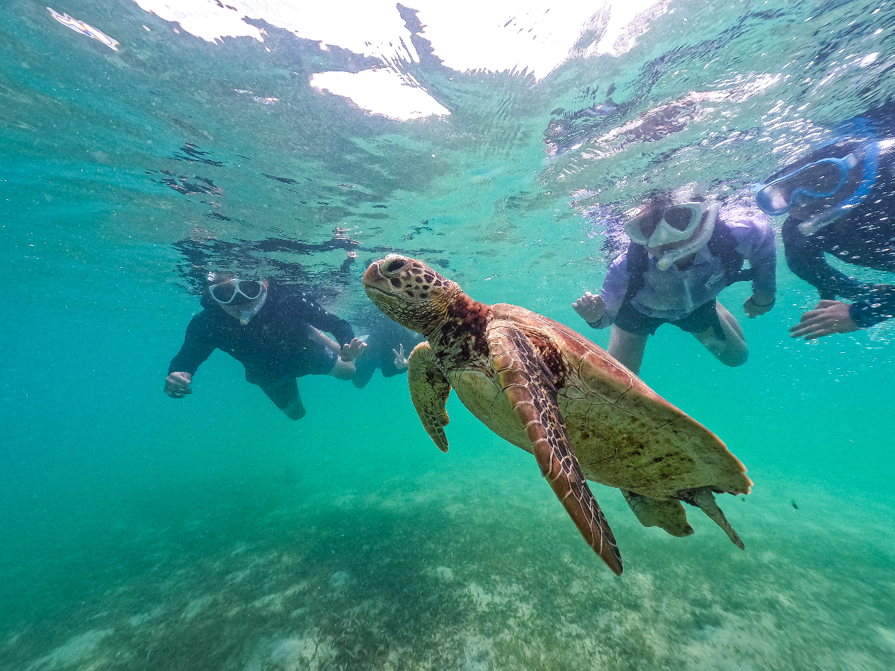 Xɂ͂Ȃʐ^EȂǉfʐ^Ȃǂ܂