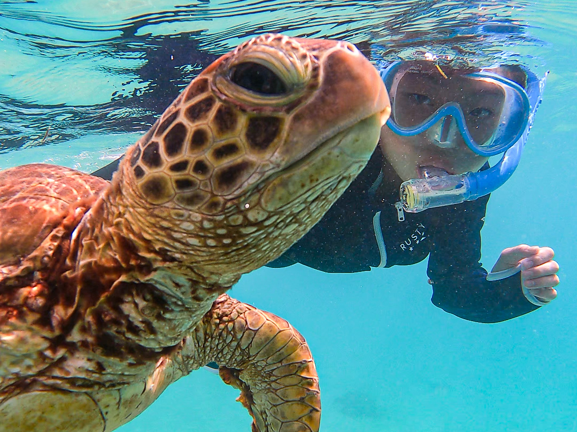 E~KƂ̋LOBe͋LɎc邱ƊԈႢȂ!!