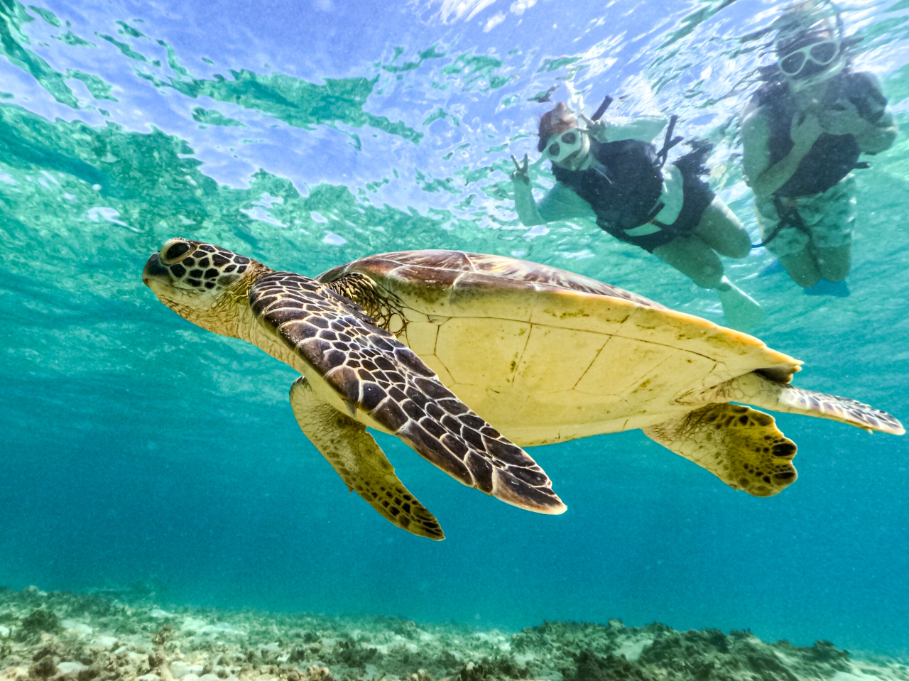 r[`Gg[Ȃ̂ŉjȂłS!!