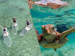 大満足セットコース!!【 CLEAR SUP × BEACH SNORKEL 】