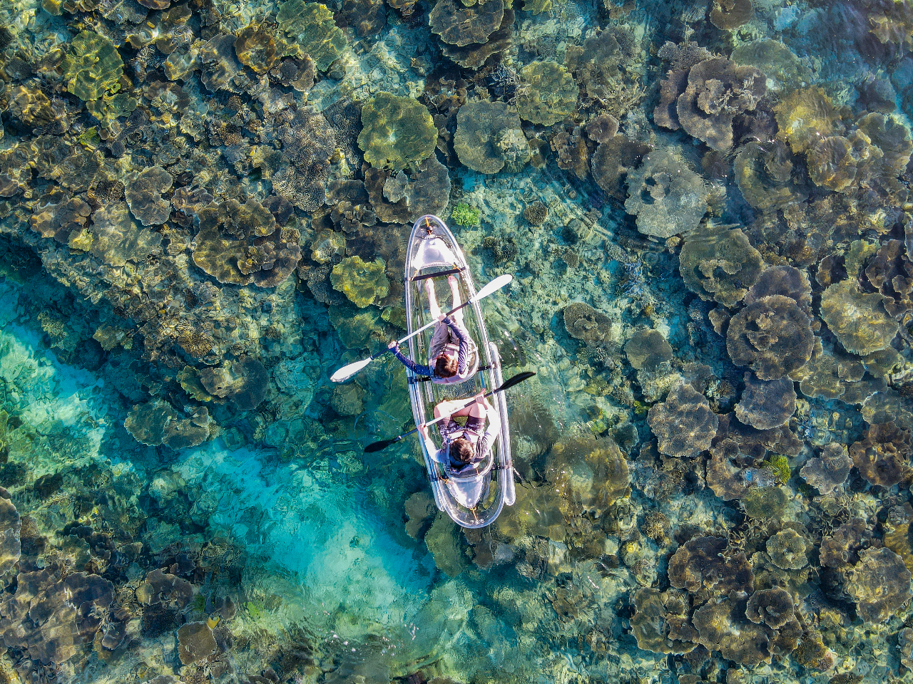 TCht[gtȂ̂œ]̋ꂪȂASSI