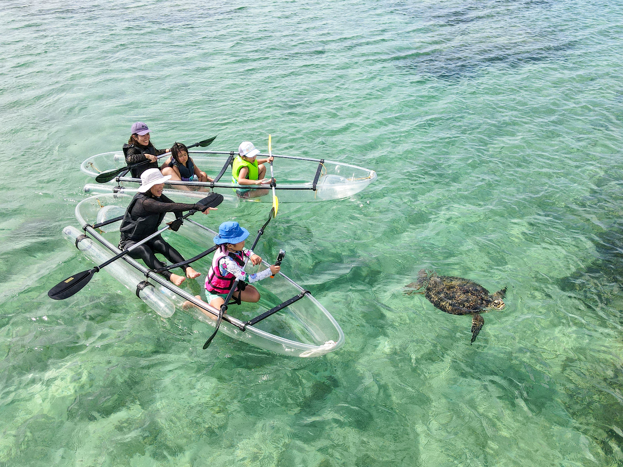 ☆老若男女問わずお楽しみいただける☆