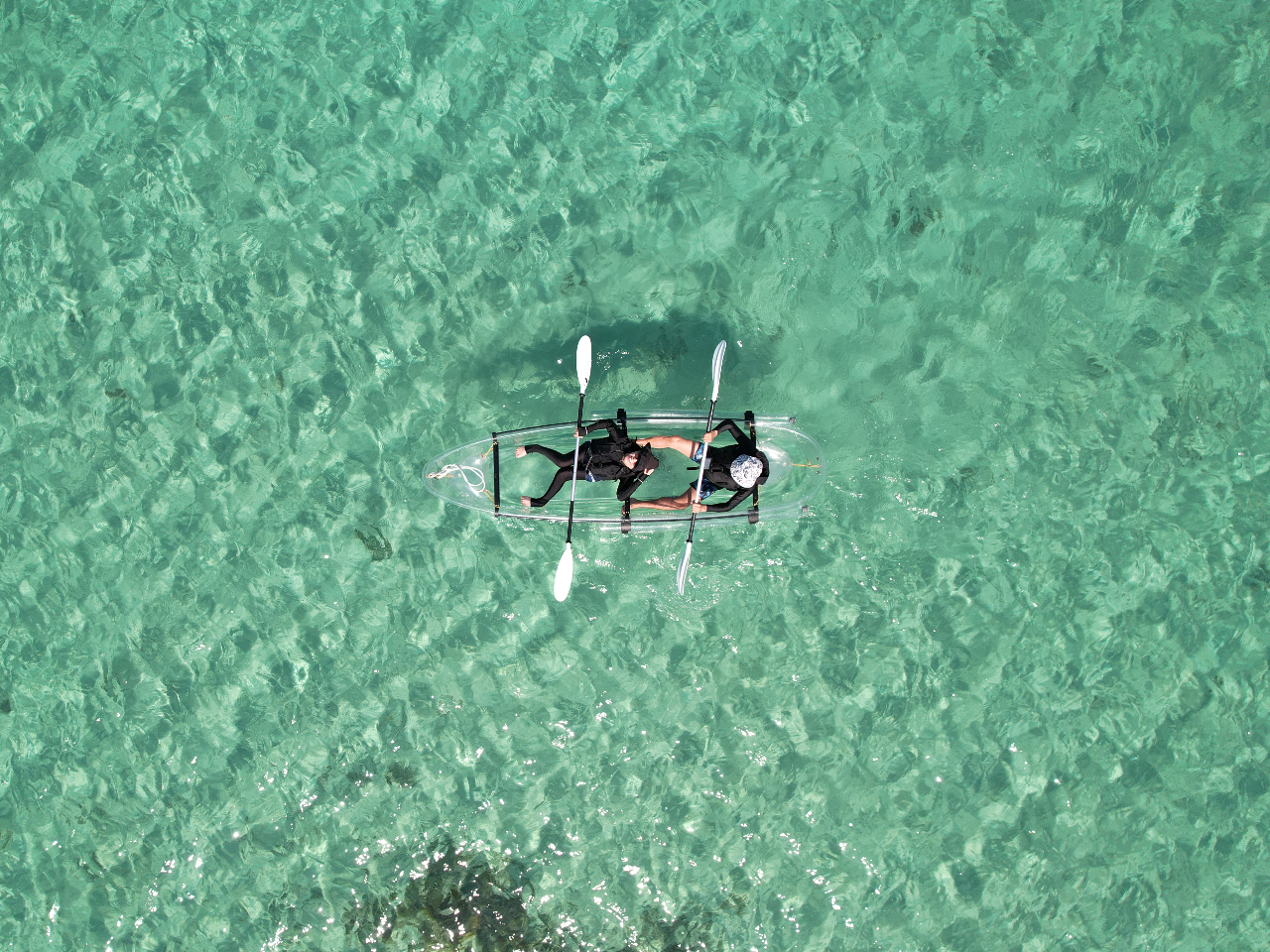 �h���[���f������}����|�C���g�ւ��ē��������܂���