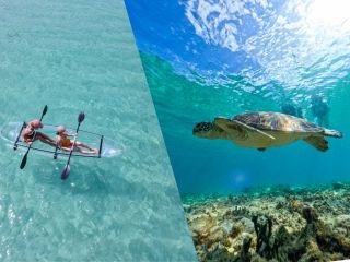 夏休みにおすすめ大満足コース!!【 CLEAR KAYAK × BEACH SNORKEL 】