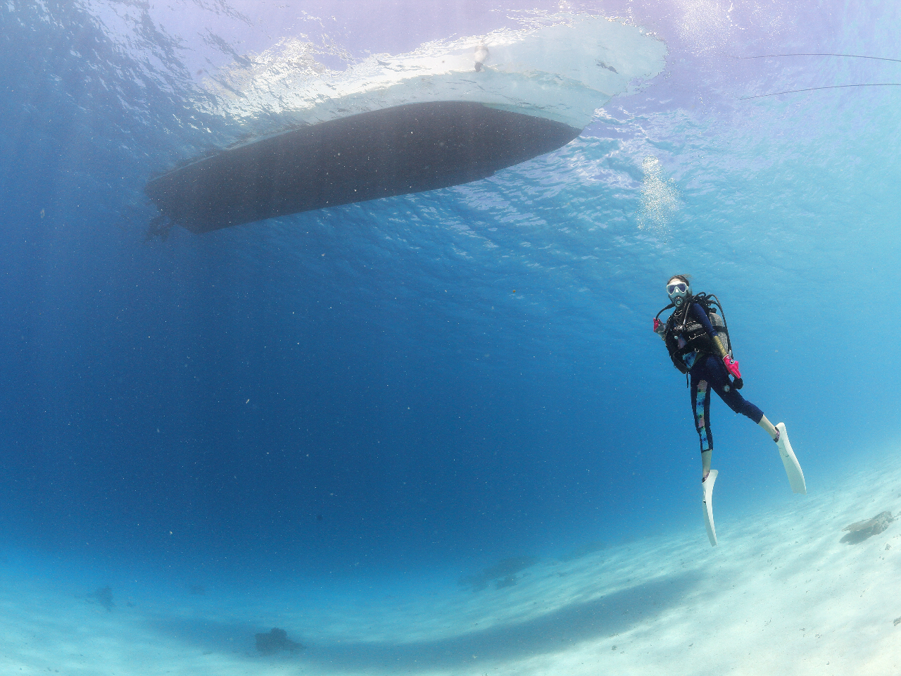 ́udvƂ_CrO|Cg@U`WŔdNGXgĂ܂̂łǂ₢킹I