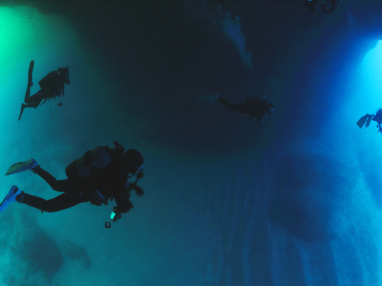 ́uʂrvƂ{ÓR_CrO|CĝPŃ_Co[ƂĂlCł@@C̐FuvuO[vւƕωĂ_Iȃ|Cgł