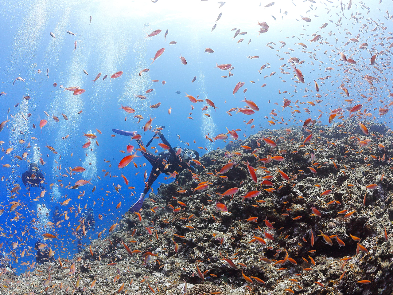 ���C�Z���X�擾��͂���Ȍi�F��