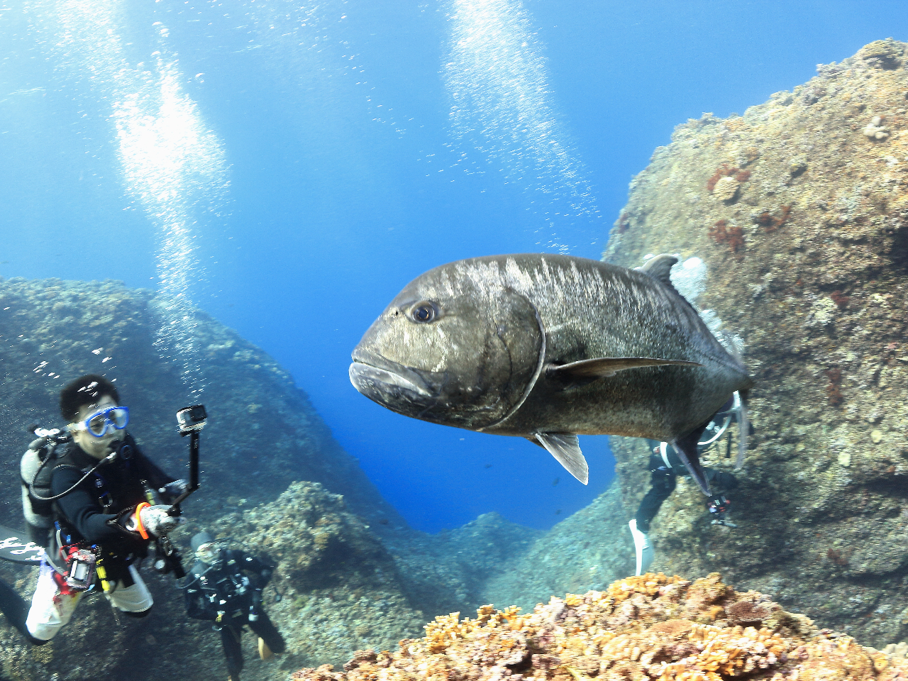 �傫�ȋ���