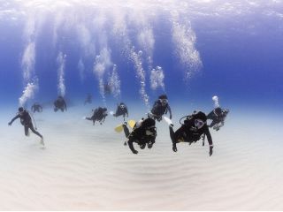 アドバンスドオープンウォーターダイバーコースでは5種類のアドベンチャーダイブを行います!